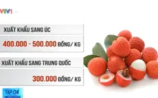 Vải Việt Nam đã sẵn sàng vượt biển?