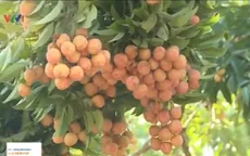 Kinh tế trong nước đáng chú ý tuần qua (6-12/7)