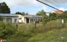 Tình trạng quản lý kém đang gây lãng phí đất đai nông, lâm trường