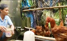 Hộ mới thoát nghèo tiếp tục được vay vốn ưu đãi
