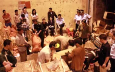 Quảng Ninh bắt vụ vận chuyển ngà voi và vẩy tê tê