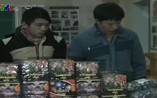 Bắt vụ vận chuyển hơn 35kg pháo lậu từ Lào về Việt Nam