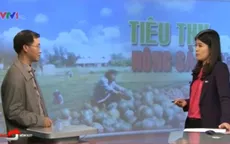 Tiêu thụ dưa hấu, hành tím: Không thể dựa mãi vào lòng trắc ẩn