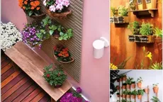 Mê mẩn với những mẫu vườn đứng