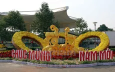 Vẻ đẹp của đường hoa nghệ thuật Thành phố mới Bình Dương