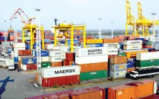 Cảng biển tiếp tục hấp dẫn nhà đầu tư trong nước
