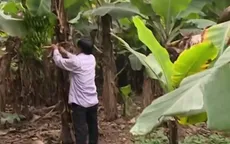Sinh viên ra trường thất nghiệp, bố mẹ “còng lưng” trả vốn ưu đãi