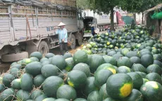 Tái diễn cảnh hàng nghìn tấn nông sản ùn ứ tại cửa khẩu Tân Thanh