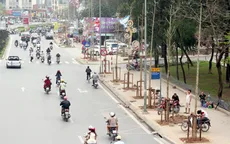 Vụ chặt cây xanh tại Hà Nội: Kỷ luật 11 cán bộ