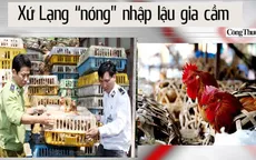 Điểm báo sáng 11/11: Gia cầm nhập lậu lại "nóng"