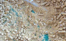 Gia cầm chết hàng loạt vì ăn cám trộn đá