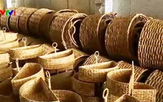 Xuất khẩu trực tiếp: Lời giải cho bài toán gia tăng lợi nhuận DN