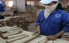 Tiếp tục đẩy mạnh tái cơ cấu ngành lâm nghiệp