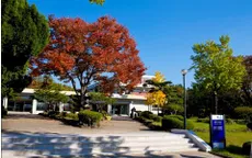 Hà Nam hợp tác giáo dục với trường Đại học Yeung Nam (Hàn Quốc)
