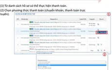 Cà Mau triển khai dịch vụ công trực tuyến ngành GTVT