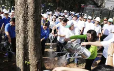 Hưởng ứng ngày môi trường thế giới: Hà Nội phấn đấu có một triệu cây xanh vào năm 2020