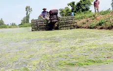 Phiên họp lần thứ 43 Ủy ban Liên hợp Ủy hội sông Mekong quốc tế