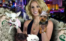 Britney Spears chi 8 triệu USD cho… chó, massage