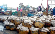 Xử phạt 5 cơ sở hải sản gây ô nhiễm tại cảng cá Sa Huỳnh (Quảng Ngãi)