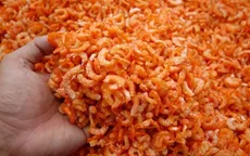 Phát hiện cơ sở chế biến tôm khô dùng hóa chất tại Bình Thuận