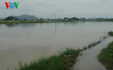 Mưa lớn tại Bình Thuận gây ngập cục bộ, tắc nghẽn tuyến QL1A