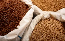 Bắt quả tang cơ sở sản xuất thức ăn chăn nuôi sử dụng hóa chất công nghiệp
