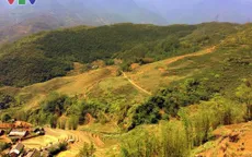 Khám phá vẻ đẹp đường lên Y Tí