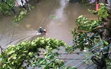 Mưa gió cực mạnh, Hà Nội ngập úng, cây đổ ngổn ngang