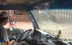 Xem lại loạt điều tra phá rừng ở Đăk Lăk của VTV24: Hành trình của những khối gỗ lậu