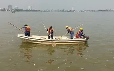 Hồ Tây: Cá chết nổi lềnh bềnh, nồng nặc mùi hôi thối