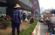 Sau 3 tháng tạm dừng, Hà Nội cắt cỏ trở lại