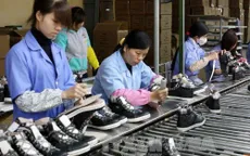 Doanh nhân & Hội nhập: Bài toán về nguyên phụ liệu ngành da giày (15h35, VTV1)