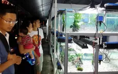 TP.HCM sắp có chợ giao dịch cá cảnh
