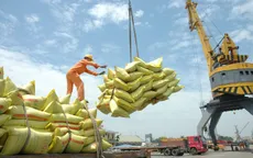 Thay đổi quan điểm về nền kinh tế nhiều thành phần - Một bước tiến quan trọng