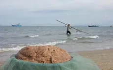 Ruốc biển tại Quảng Bình an toàn