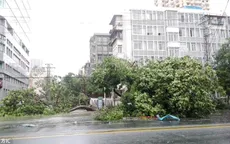 Ít nhất 7 người thiệt mạng do siêu bão Meranti tại tỉnh Phúc Kiến (Trung Quốc)