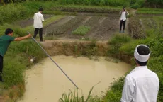 Ba em nhỏ đuối nước thương tâm dưới hố tưới rau