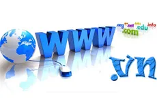 Phạt 340 triệu đồng 5 nhà đăng ký tên miền quốc tế vi phạm