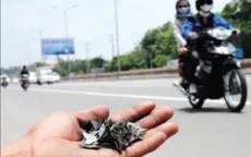 Từ 1/7, đinh tặc có thể bị xử phạt đến 10 năm tù