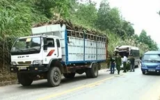 Xe khách đâm đuôi xe tải, 11 người bị thương