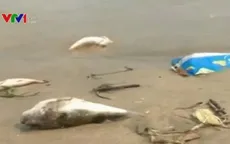 Đoàn kiểm tra liên ngành kết thúc đợt làm việc tại Vũng Áng