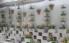 Biến bãi rác "dọn 10 năm không sạch" thành vườn hoa chỉ sau 5 ngày