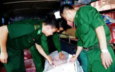 Bắt giữ hơn 400 kg thịt động vật đang phân hủy