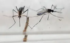 Việt Nam chính thức vào cuộc chiến chống virus Zika