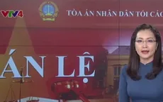 Lần đầu tiên Việt Nam áp dụng án lệ