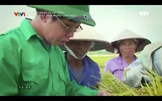 Vị doanh nhân với niềm đam mê cháy bỏng dành cho cây lúa
