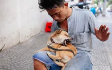 Khoảnh khắc hạnh phúc của anh đánh giày câm và chú chó mù