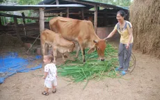 Lai Châu: Nhiều gia đình xin ra khỏi diện hộ nghèo