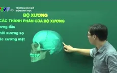 Trường học mở môn Sinh học: Bộ xương và các thành phần của bộ xương
