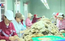 Phú Yên: Phát hiện nhiều sai phạm trong sản xuất, kinh doanh thực phẩm